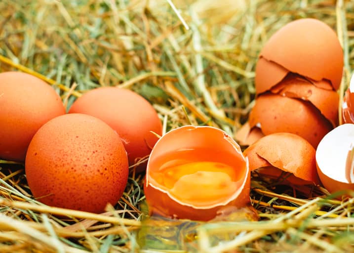 Foto de huevos de gallina en el pasto, algunos están enteros y otros partidos.